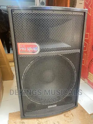 Grace Sound High Power 15" Loud Speaker