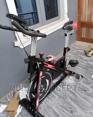 Manual Exercise Spinning Bike