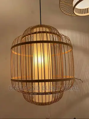 Single Drop Light
