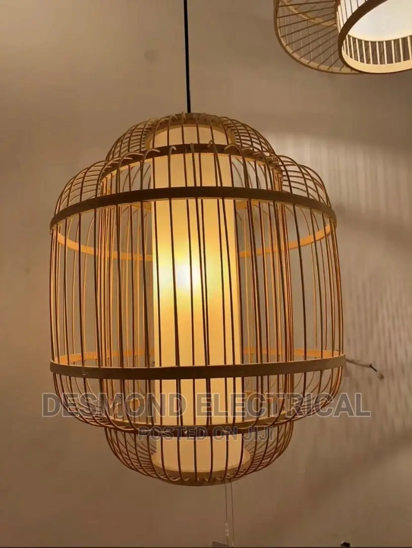 Single Drop Light