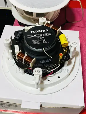 Tundra 30watts Crossover Ceiling Speakers