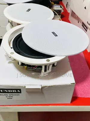 Tundra 30watts Crossover Ceiling Speakers