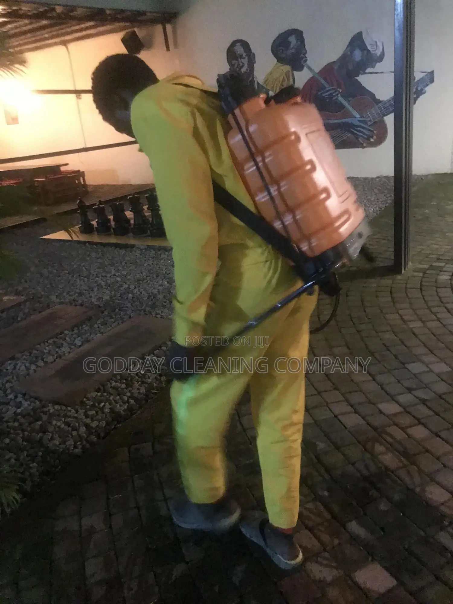 Professional Fumigation Service And Pest Control Service