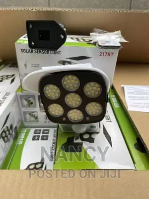 Solar Security Light