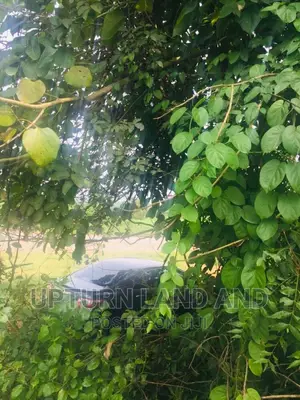 63 Acres Beside the Common Wealth Estate C of O. In IDO