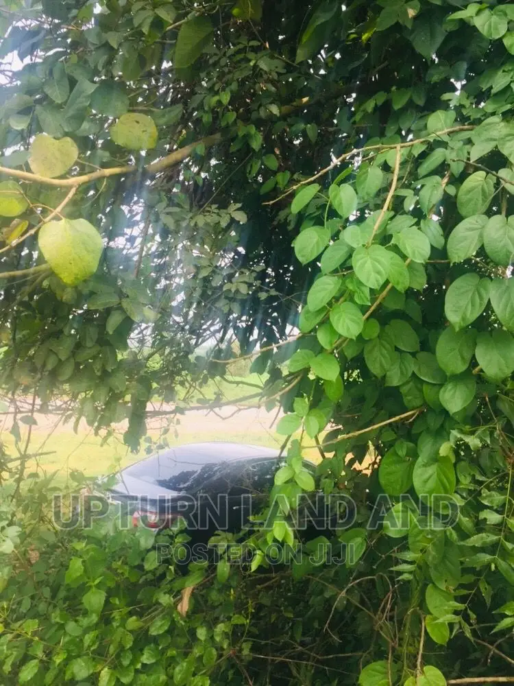 63 Acres Beside the Common Wealth Estate C of O. In IDO
