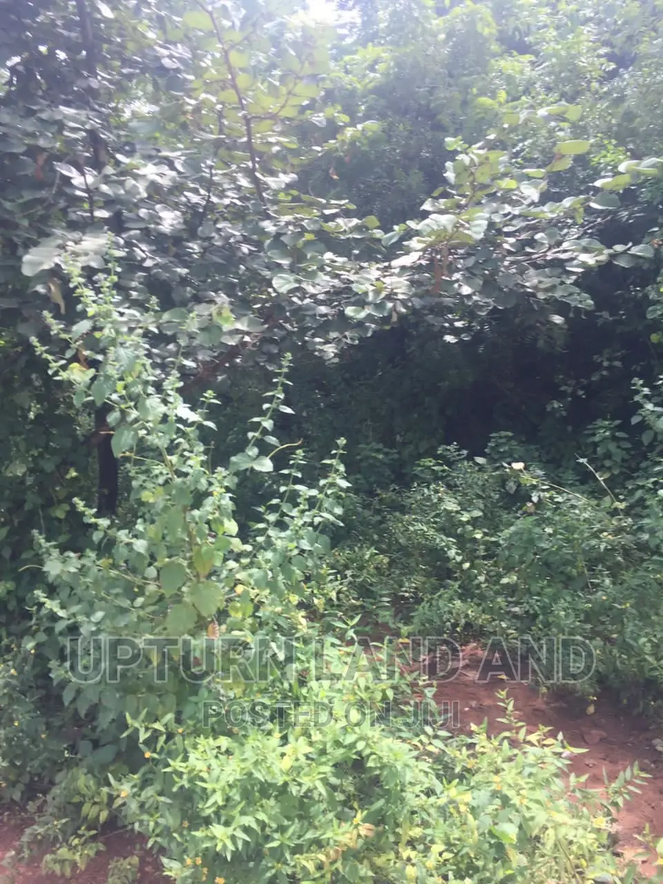 63 Acres Beside the Common Wealth Estate C of O. In IDO
