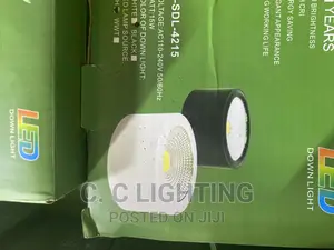 Paraphate Light Down Light