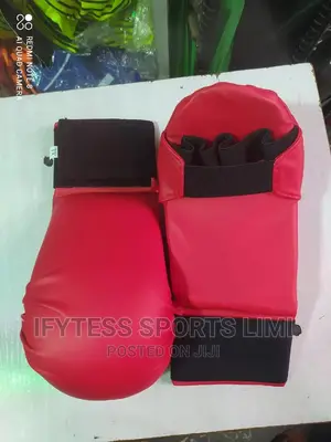 Karate Arm Meet Gloves