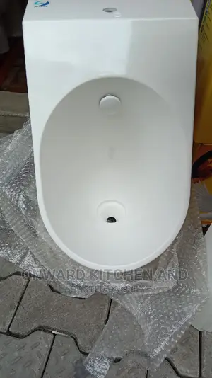 Urinal Bowl