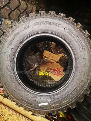 10.0/75-15.3 Alwaysrun Implement Tyre