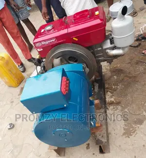 1115 Basic Diesel Generator With 20kva Coil With Warranty