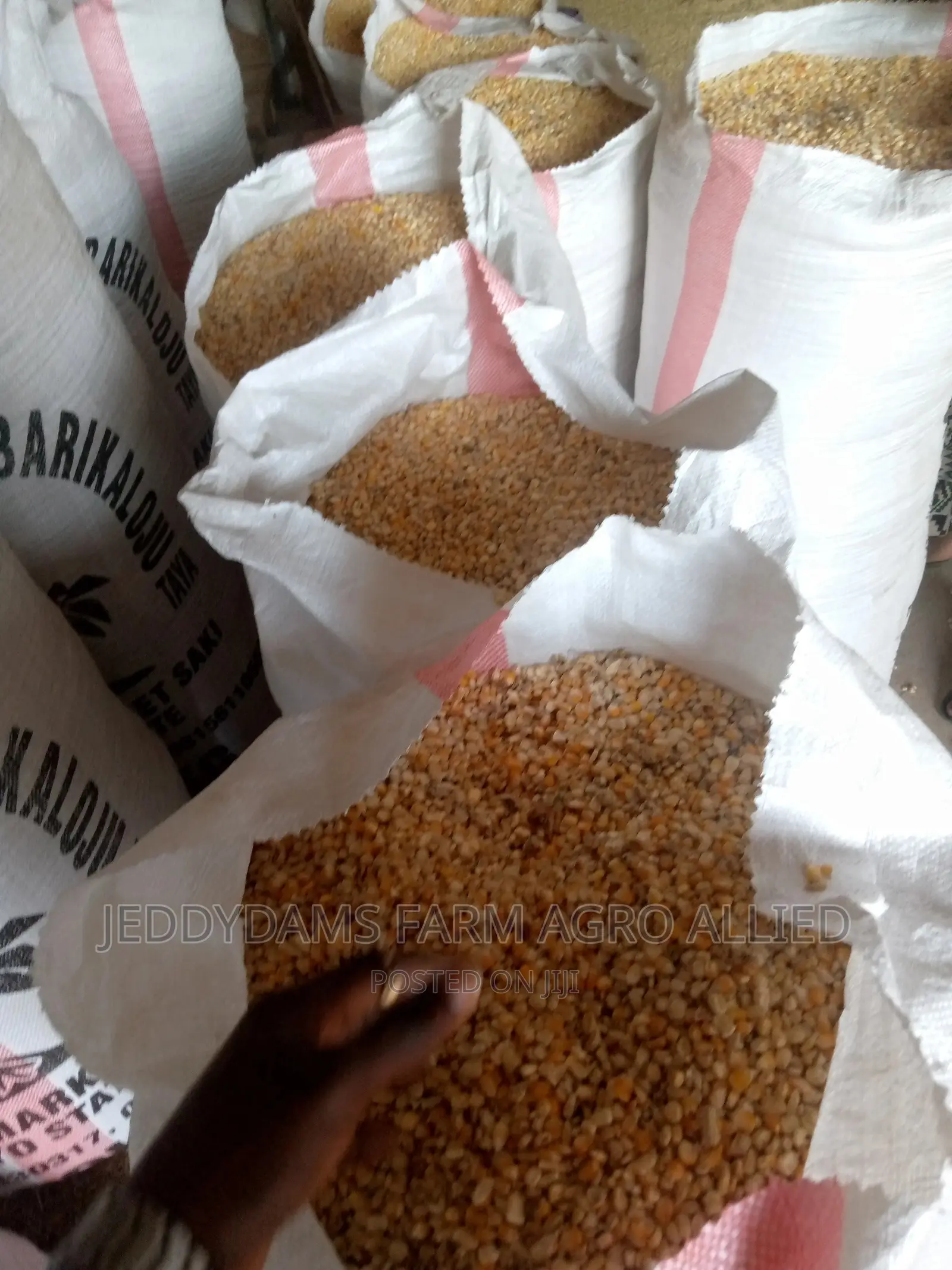 Maize Production