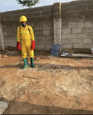 Professional Fumigation Service And Pest Control Service
