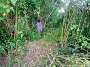 10000 Acres of Land for Sale
