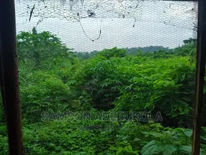 5000 Acres of Land for Sale and for Lease at Alapako, Ibadan