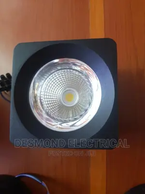 Cantilever Light