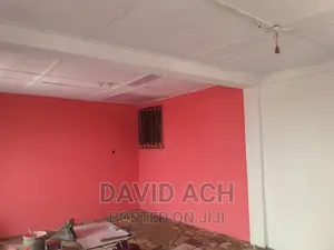 House Painting