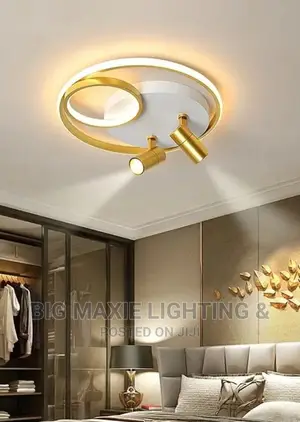 Modem Led Ceiling Lights Chandelier With Spot Light