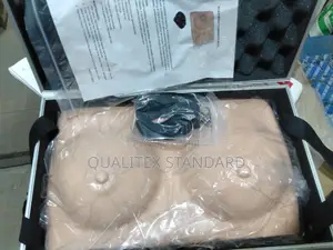 Artificial Breast