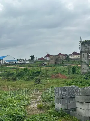 Duplex Plot