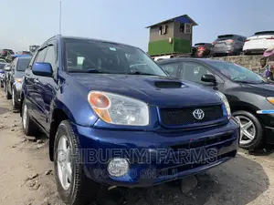 Toyota RAV4 2.0 4x4 Executive 2004 Blue