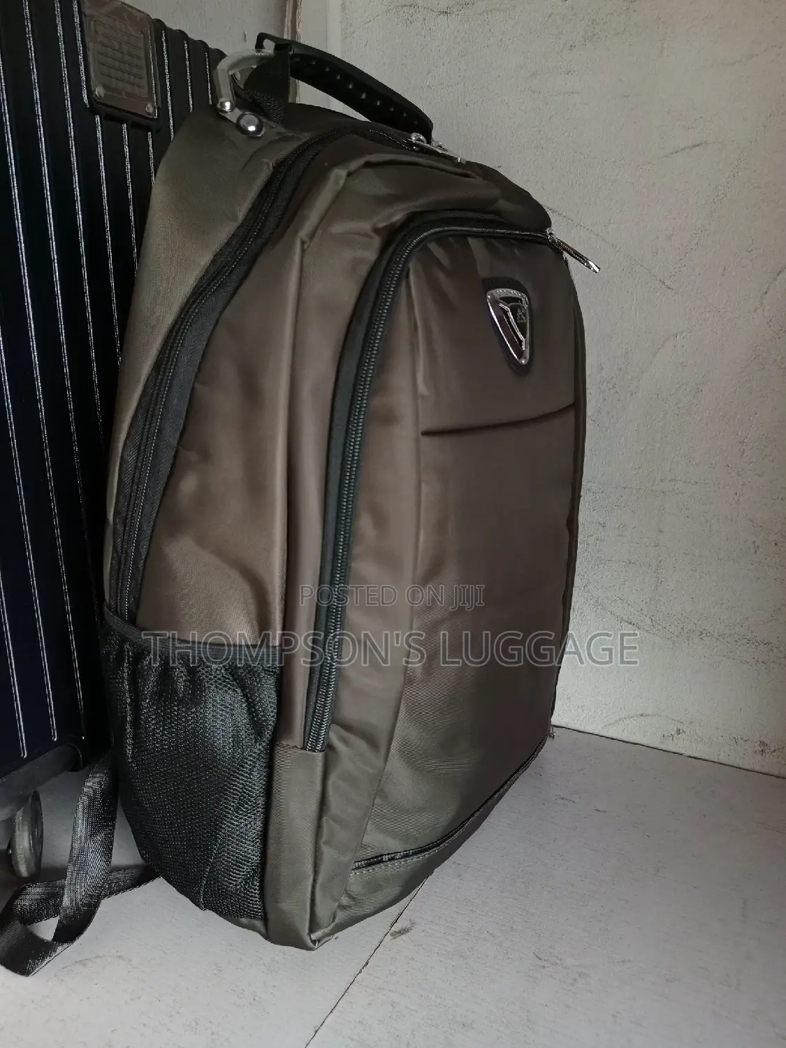 Original Biaowang Backpack