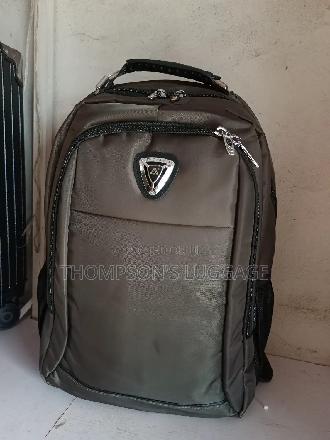 Original Biaowang Backpack