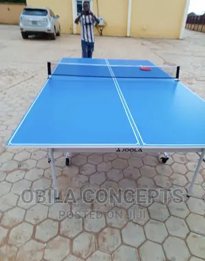 Trusted Water Resistance Outdoor Foldable Table Tennis