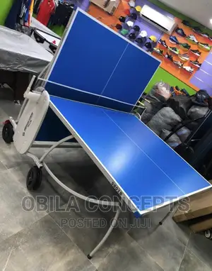 Reliable Waterproof Outdoor Table Tennis With Accessories