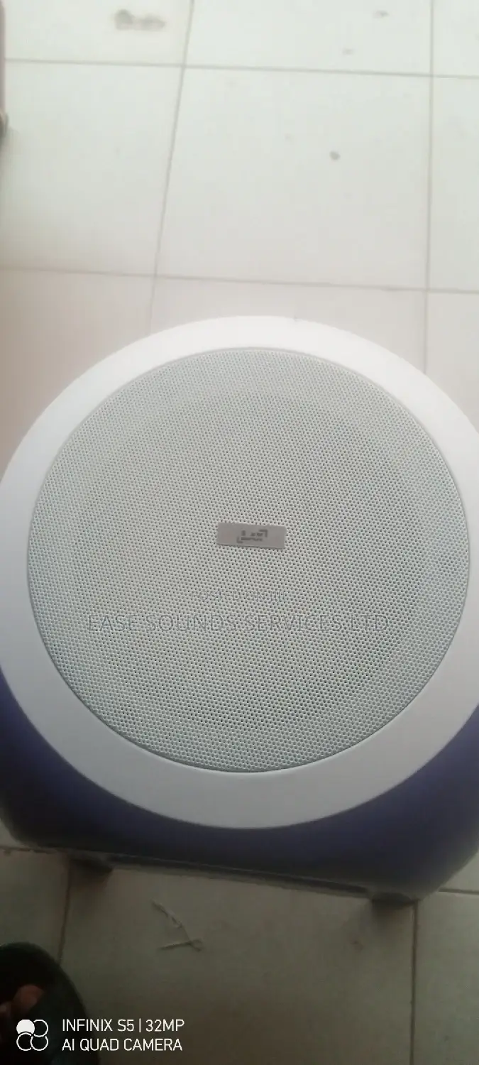 LAX 30WATTS Ceiling Speaker