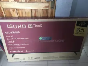 LG 65inches Internet Access