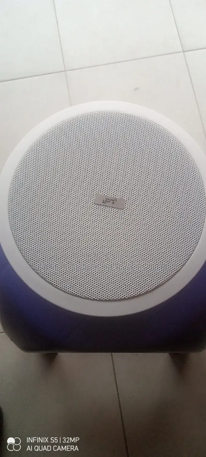 LAX 15watts Ceiling Speaker