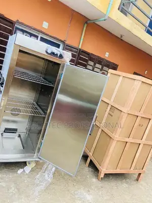 High Quality Standing Freezer