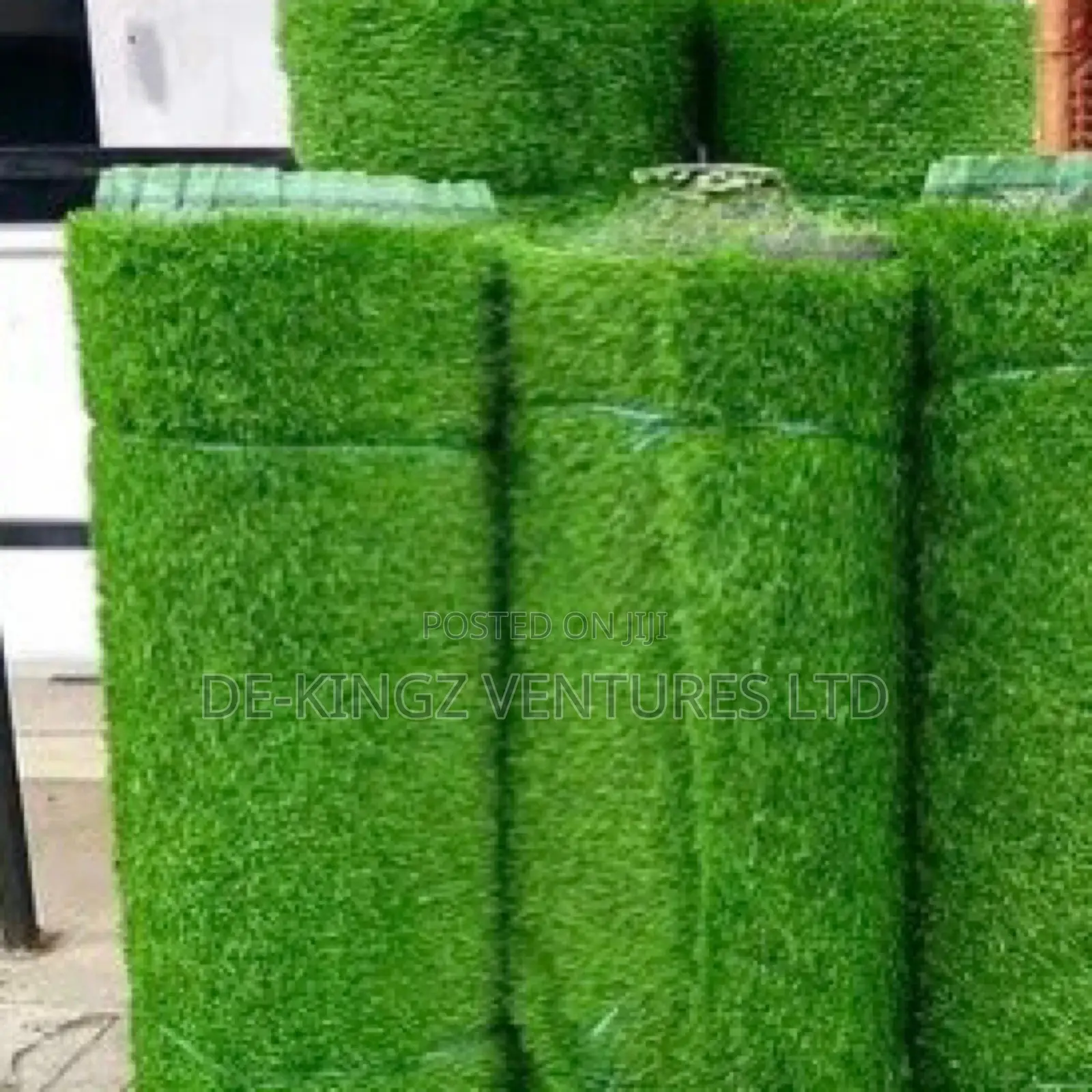 Original Carpet Grass Home Garden Etc