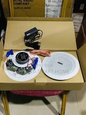 Bluetooth Ceiling Speakers