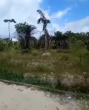 Mixed-Use Land