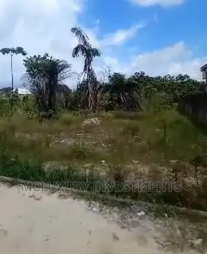 Mixed-Use Land