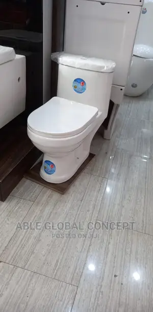Children Size Water Closet
