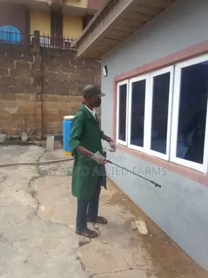 Fumigation And Cleaning