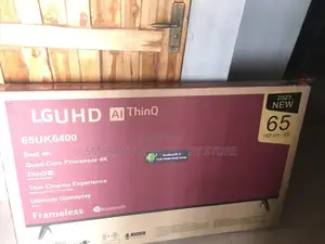 LG 65inches Common Interface DVI