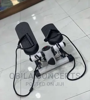 Standard Mini Stepper