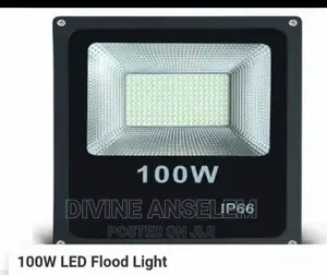 Flood Light LED 100