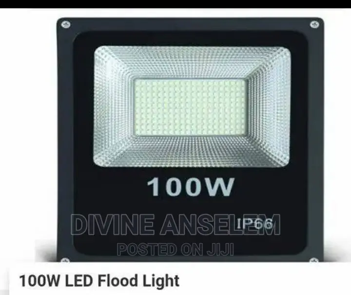 Flood Light LED 100