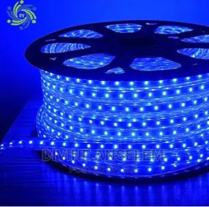 Blue Rope Light