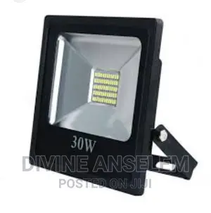 Flood Light LED 30watts