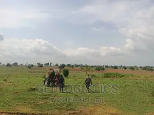 Agriculture Consultant