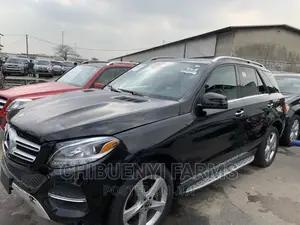Mercedes-Benz GLE-Class GLE 350d 4MATIC 2017 Black