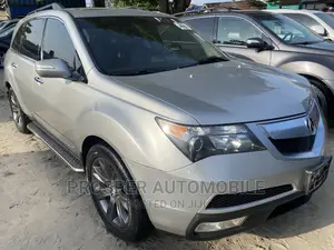 Acura MDX 2010 Silver
