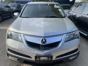Acura MDX 2010 Silver
